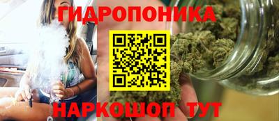 прущая мука Кингисепп