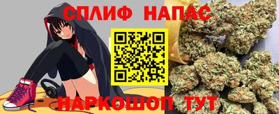 гашик Кинель