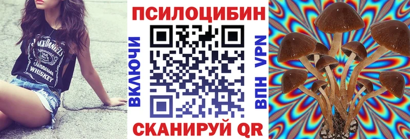 Галлюциногенные грибы ЛСД Коряжма
