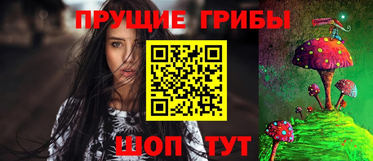 Коряжма  Псилоцибиновые грибы GOLDEN TEACHER  Вход с VPN 
